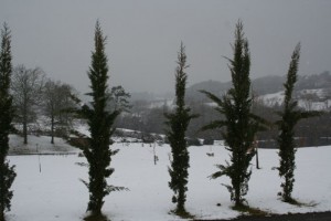 neige-Noël-2010-025a